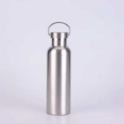 17 oz Stainless Steel Sports Water Bottle Insulated Reusable Water Bottles with Handle Metal Bottle for Hikers Gift